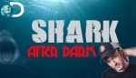 Shark After Dark sl